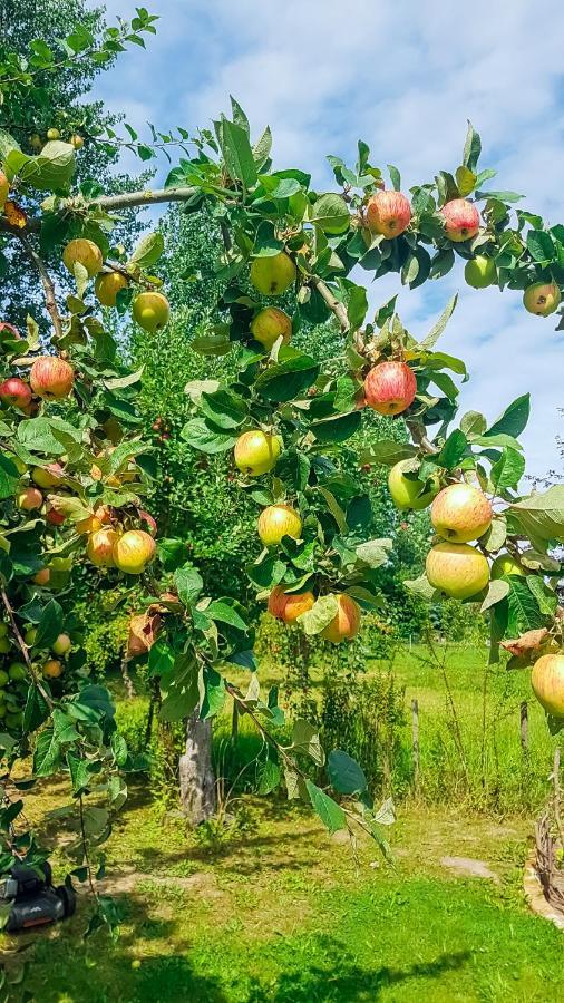 Ferien Unnern Appelboom Lejlighed Gross Kordshagen Eksteriør billede
